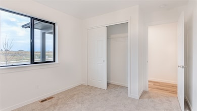 Unfurnished bedroom with light carpet and a closet
