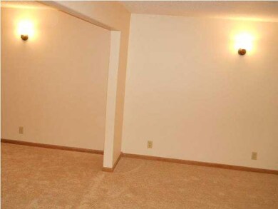 Basment Family Room