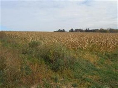 Lot 3 King Rd, Brooklyn, WI 53521 - photo 4