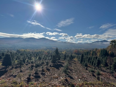 374 Crank Rd, Bloomfield, VT 05905 - photo 7