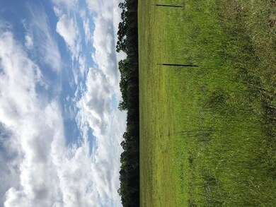 IMG_1735
