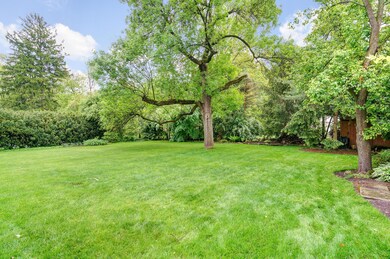 Rear Yard