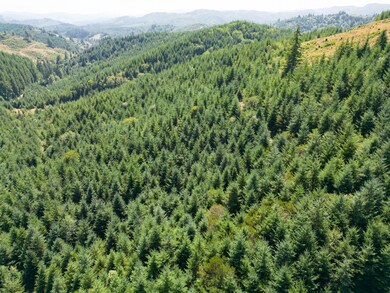Trees on propety Oregon Upstream Timber