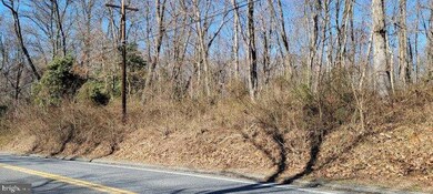 8820 Marshall Corner Rd, Pomfret, MD 20675 - photo 4