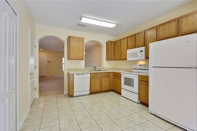 15805 Fishhawk Falls Dr, Lithia, FL 33547 - photo 6