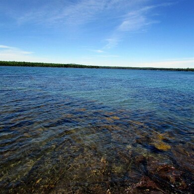 Wonderful swimming