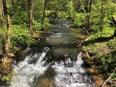 Lot 14 Watersong Trail, Ellijay, GA 30540 - photo 6