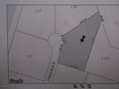 955 N Black Birch Dr, Tobyhanna Township, PA 18334 - photo 3