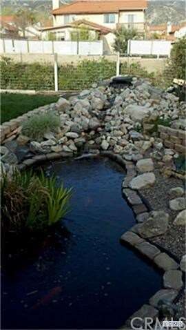 Unbelievable Koi Pond!