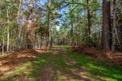 0 Flint Hill Rd unit 23523957, Ridgeway, SC 29130 - photo 4