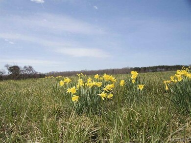 TBD Vawter Corner Rd, Louisa, VA 23093 - photo 7