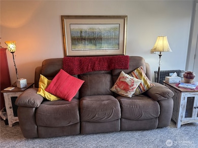 2815 Willows Rd unit 116, Seaview, WA 98644 - photo 7