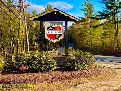 32 Upper Lake View Dr, Madison, NH 03849 - photo 5