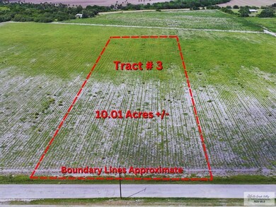 TDB Joines Rd unit Tract 3, San Benito, TX 78586 - photo 3