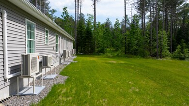 Rear side of building and back yard