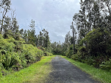 Looking down the road towards Seaview