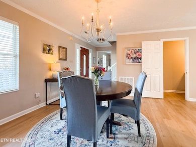 1109 Night Cap Ln, Knoxville, TN 37919 - photo 7