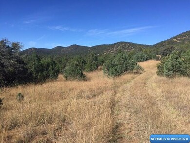 61 Euphoria Rd, Silver City, NM 88061 - photo 7