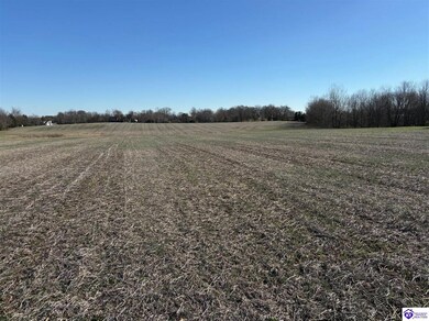 250 Owl Creek Dr, Vine Grove, KY 40175 - photo 6