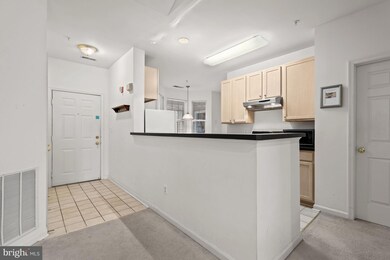 5001 Willow Branch Way unit 302, Owings Mills, MD 21117 - photo 6