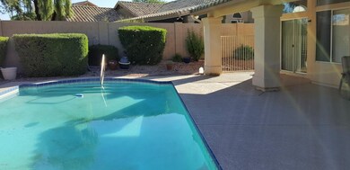20161004_084126_026 (4)