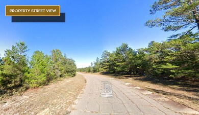 0 Malaluka Place unit 25518503, Chipley, FL 32428 - photo 5