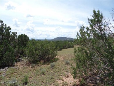 SAM_0472 (Small)