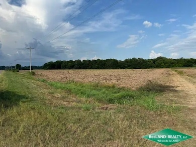 State Highway 173, Wilmot, AR 71676 - photo 3