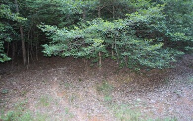 Additional View