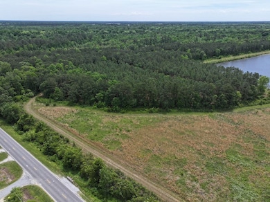 00 Hwy 55 E unit LotWP001, Kinston, NC 28501 - photo 7