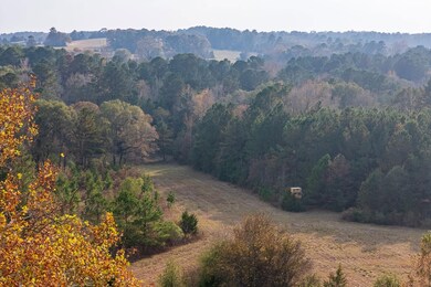 S Fm 228 unit TX, Grapeland, TX 75844 - photo 6
