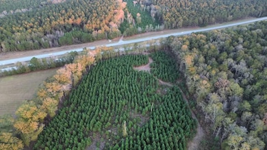 6580 Hwy 431 S, Pittsview, AL 36871 - photo 3