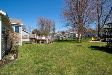 _Backyard