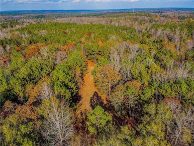 0 Lee Rd 175 unit E102556, Salem, AL 36874 - photo 3