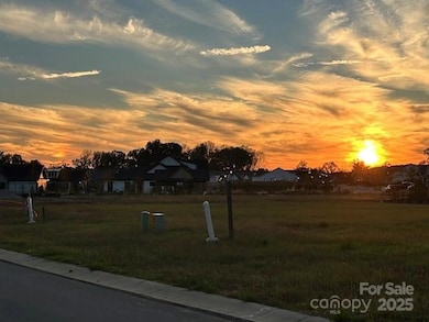 1002 Pastoral Place, Waxhaw, NC 28173 - photo 7