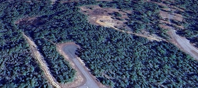 TBD Urmey Ct unit 5, Chipley, FL 32428 - photo 5