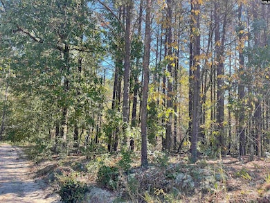 1809 Louise Ct, Lugoff, SC 29078 - photo 3