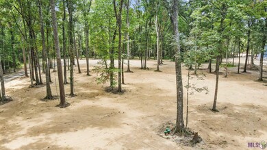TBD Little Sandy Ln, Zachary, LA 70791 - photo 7