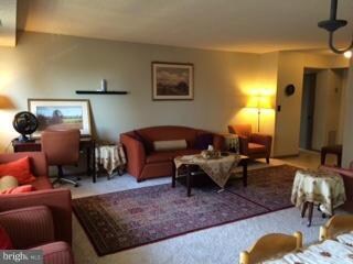 5501 Seminary Rd unit 1603S, Baileys Crossroads, VA 22041 - photo 5