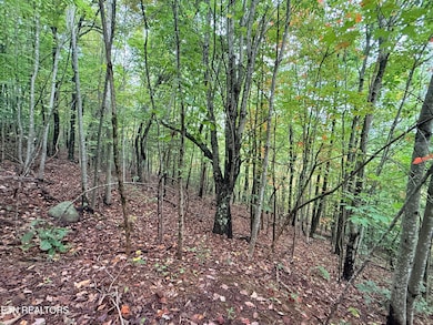 Lot 192 Clinch View Rd, New Tazewell, TN 37825 - photo 2