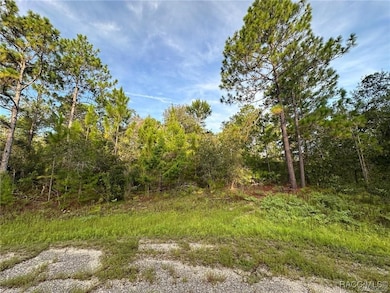 6932 N Steward Point, Citrus Springs, FL 34434 - photo 5