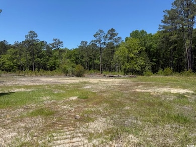 TBD Johnson Rd, Georgetown, SC 29440 - photo 6