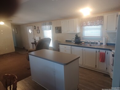 400 Dr, Pleasanton, TX 78064 - photo 4