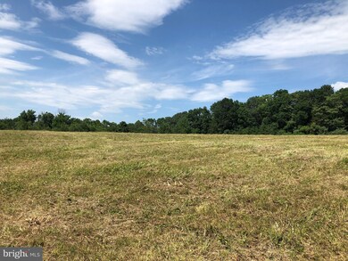 122 Ridge Brook Ln, Bentonville, VA 22610 - photo 4