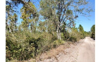 0 Brown Rd unit 123984, Lee, FL 32059 - photo 3