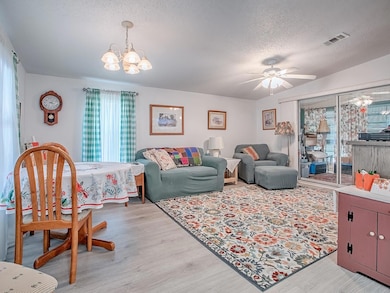 730 Cottage Park Ln, Leesburg, FL 34748 - photo 7