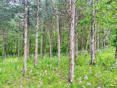 2015 Berme Rd, Kerhonkson, NY 12446 - photo 7