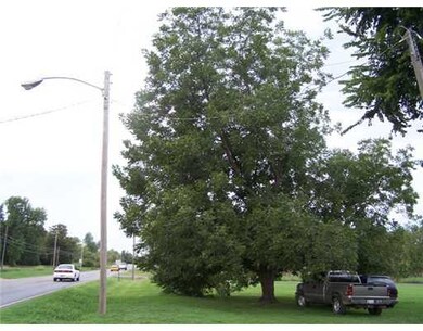 Yard/Garden. laarge pecan tree and room for a gard