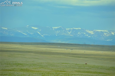 1191 Lakeview Rd, Lake George, CO 80827 - photo 2