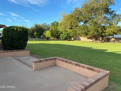 Fletcher Rear Yard 2